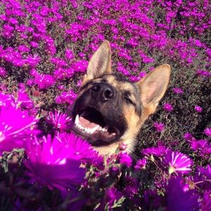 Meet your Posher, Kendra